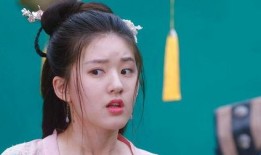 实时黑料曝光.赵露思个人资料,从黑料曝光到真实资料的揭秘