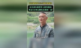 社会热点话题事件素材 社会热点事件视频,[事件名称]事件深度解析