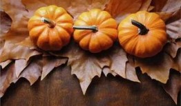 在线吃瓜的意思 155,揭秘网络“吃瓜群众”的狂欢盛宴