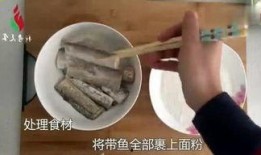 有点料官网,解锁生活新趣味