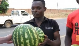 黑瓜 人,揭秘人生百态的黑色寓言