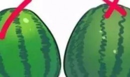 瓜在体育圈是什么意思 热点吃瓜,揭秘体育圈“吃瓜”背后的热点事件