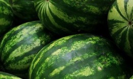 黑瓜 人,揭秘人生百态的黑色寓言