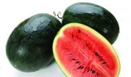 体育圈cp 吃瓜黑料精品一区,揭秘一区吃瓜黑料背后的真相